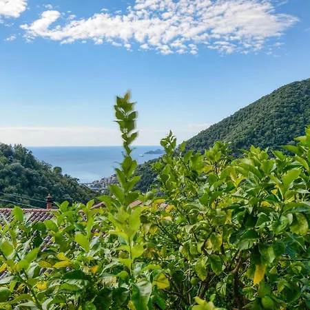 2 Bedroom Gorgeous In Apartamento Semorile
